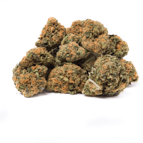 Acapulco Gold | Mother Herb Cultivation