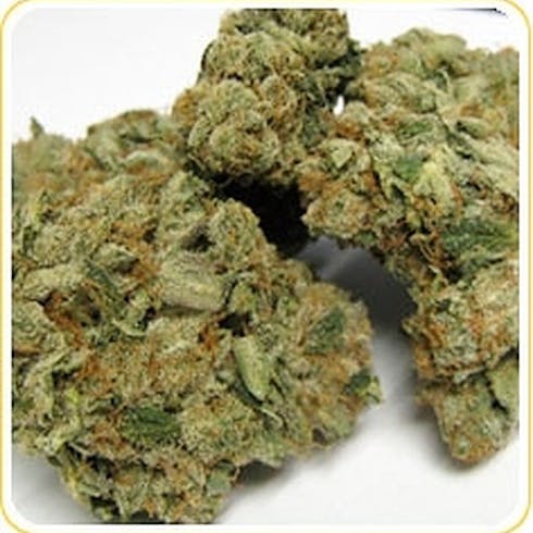 OG KUSH #18 (Indoor)