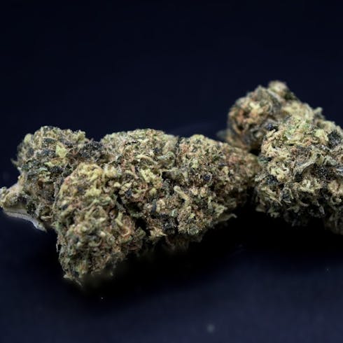 REC 21+ Clementine Kush (I)