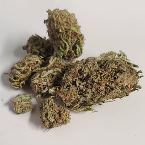 Elektra (20:1 CBD Dominant Strain)