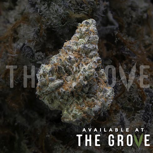 $50 1/8ths (Ember Valley): Zookies by Ember Valley