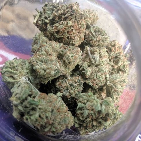 Quattro Kush