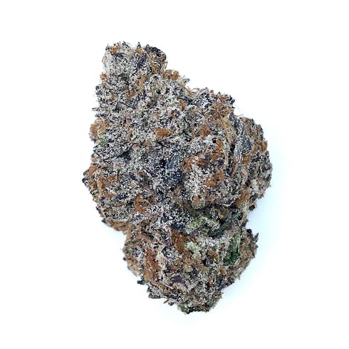 Guava x Biscotti