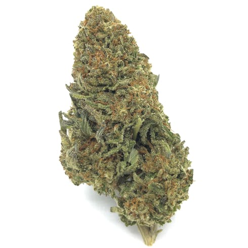 Yesterday's Paper by Rolen Stone Farms