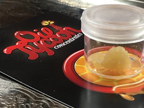 Gelato .5G Sugar