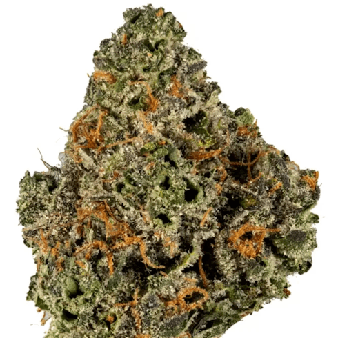 Gelato Dosidos | Cannabis Nation