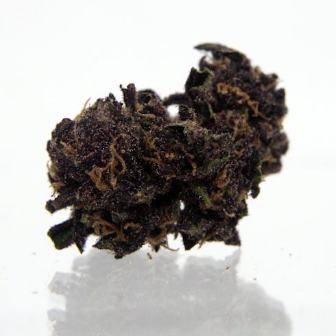 Forbidden Fruit - Gram (1.0g) - Ripped City Gardens