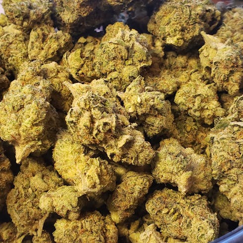 Grease Monkey