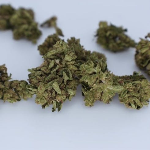 SFV OG - 29% THC