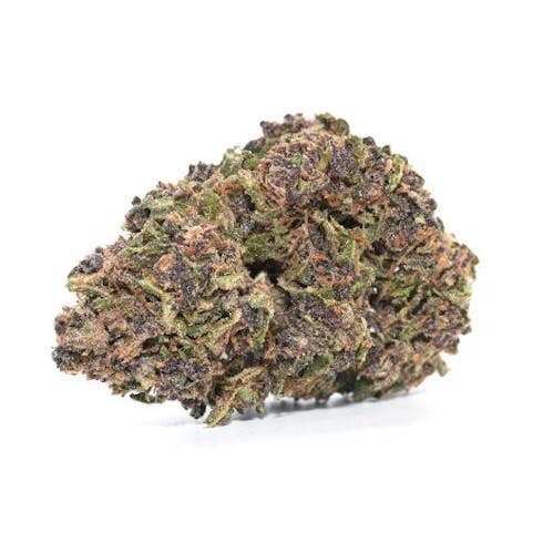 Blueberry Muffin