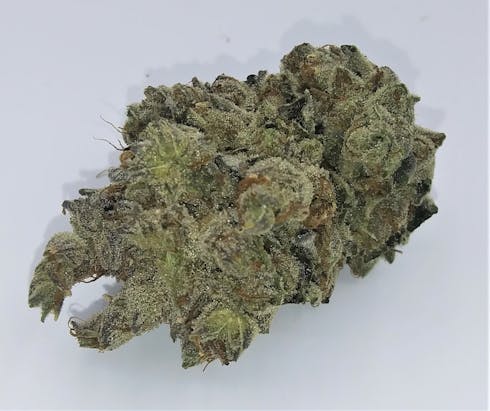 Mt. Hood Magic | Grown by Cannabis Nation | REC