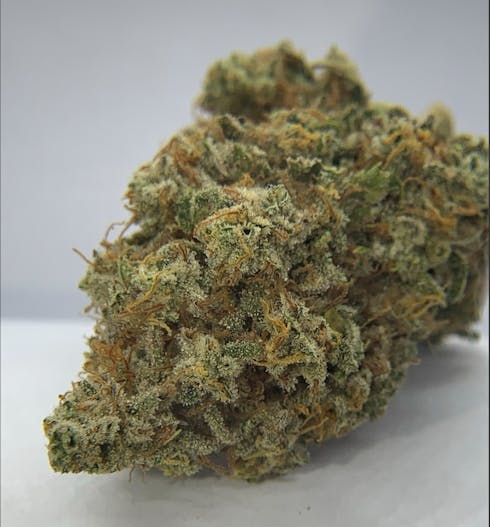 Sour Jack