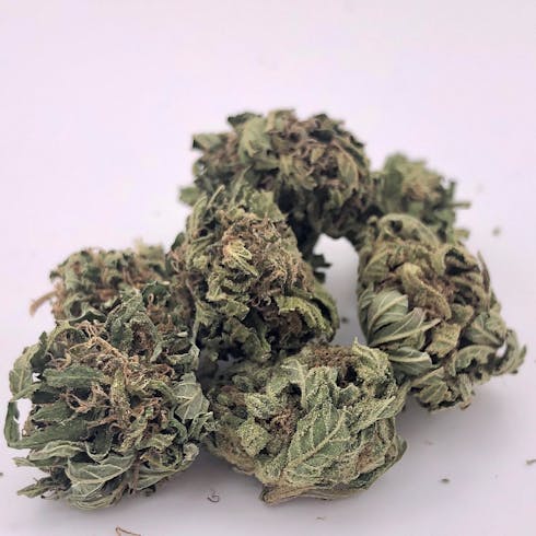 Purple Afghan Kush