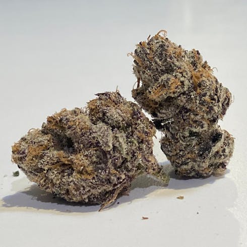 Gelato #33 By The Heights Co.
