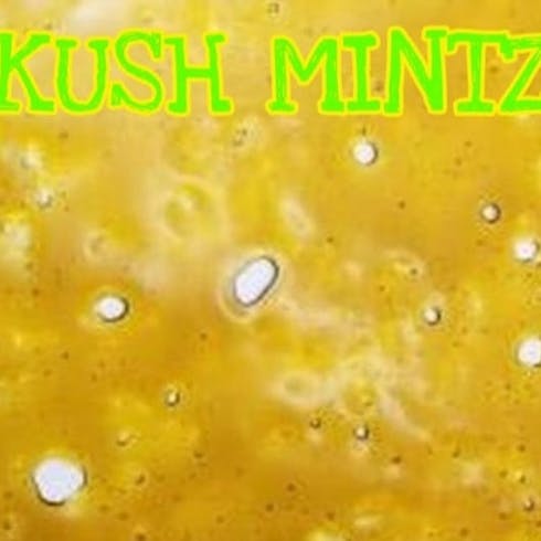 Kush Mintz