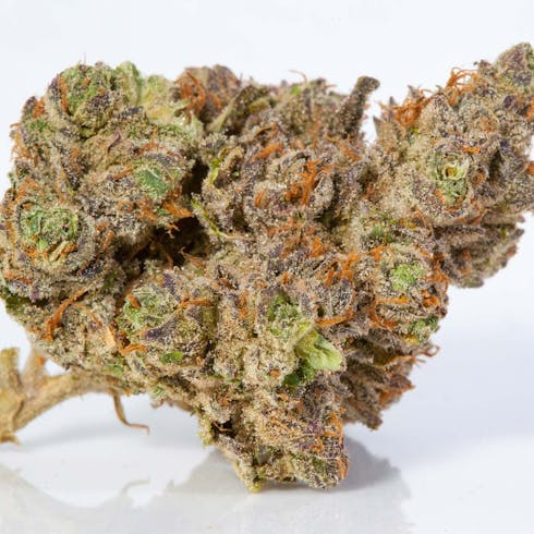Stardawg