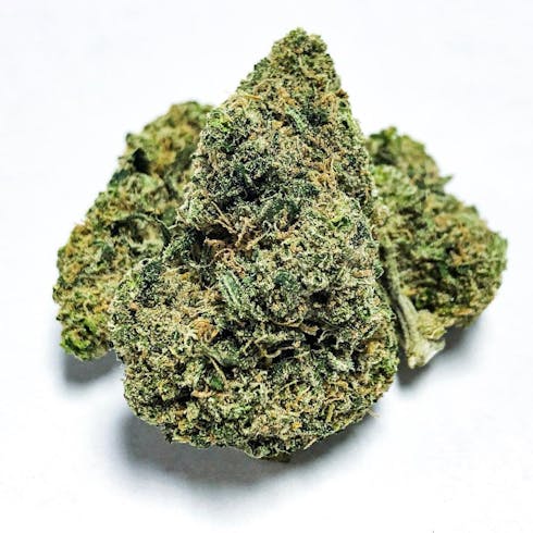 Durban Poison