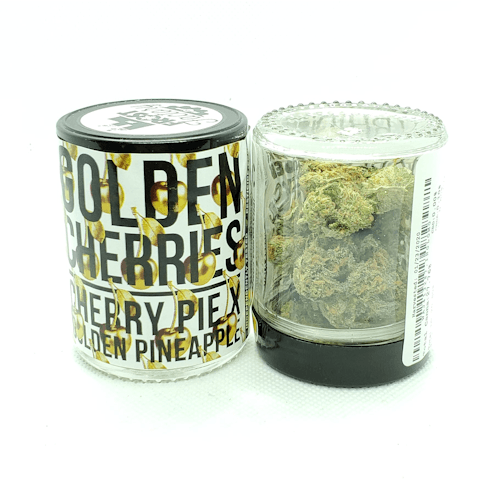 Golden Cherries 3.5g PP