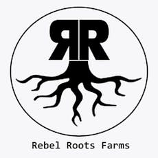 Charlotte's Web- Rocket Fuel