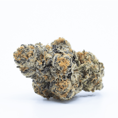 Gelato #41