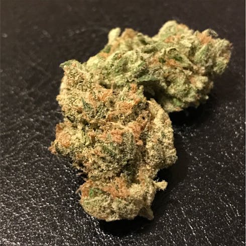Gold Tier | Limonada