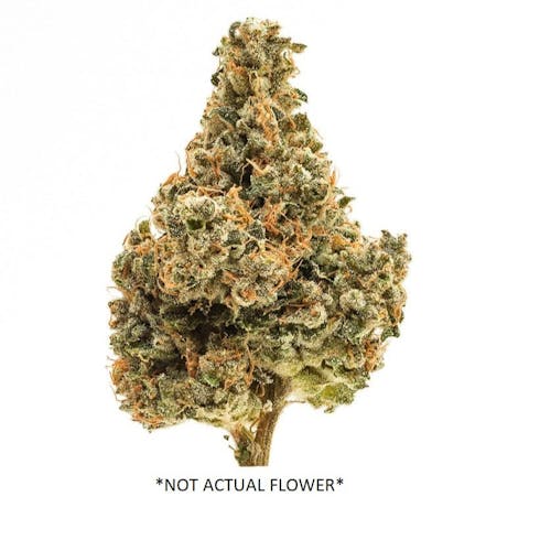 Lavender Jones (Supreme) (H)