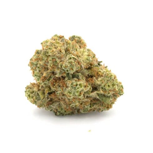 Queen Mother Goji by Willie's Reserve