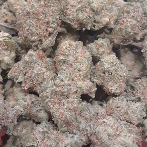 Tangie Ghost Train