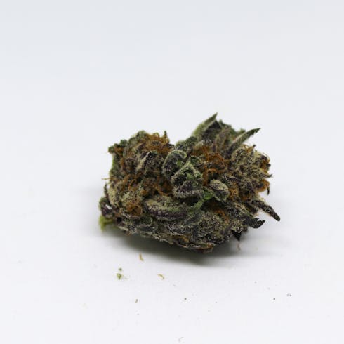 Bruce Banner