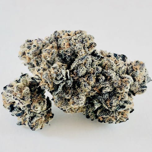 Dark Dosi