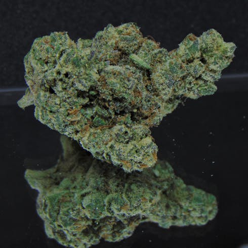Animal Face (Animal Cooks X Face Off OG) *Sativa Hybrid