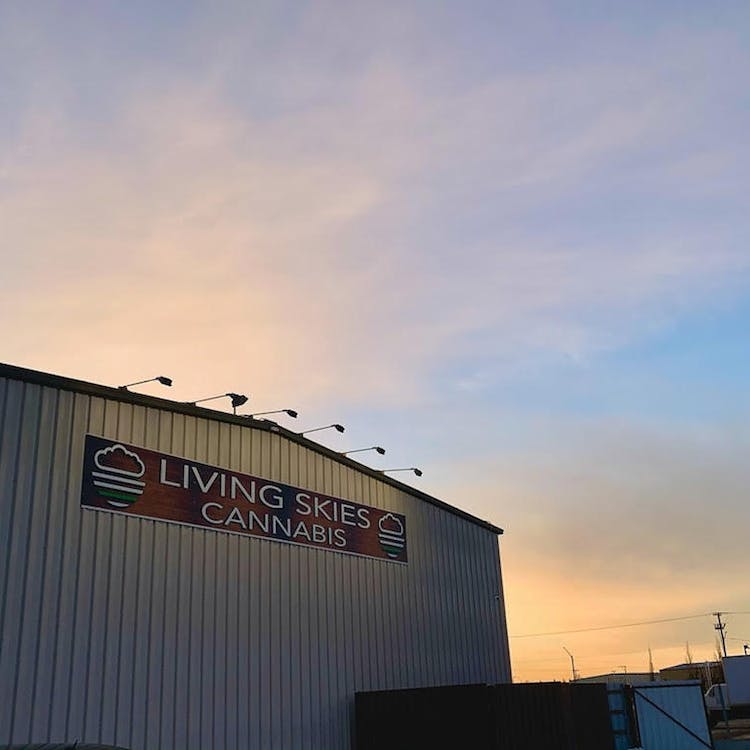 Living Skies - Millar Ave.