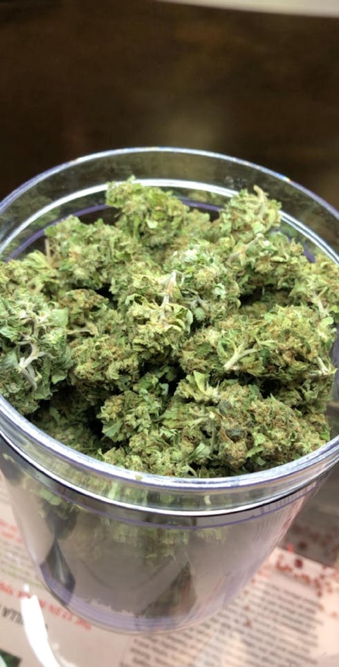 Gelato