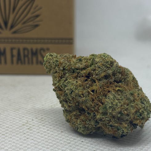 Chocorilla - Bloom Farms