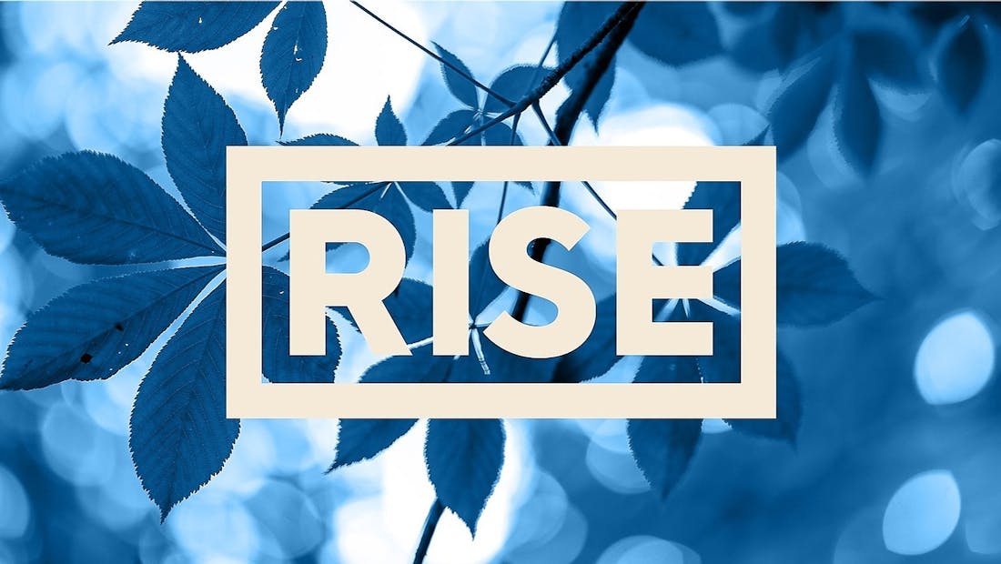 RISE Dispensaries Lakewood (Detroit)