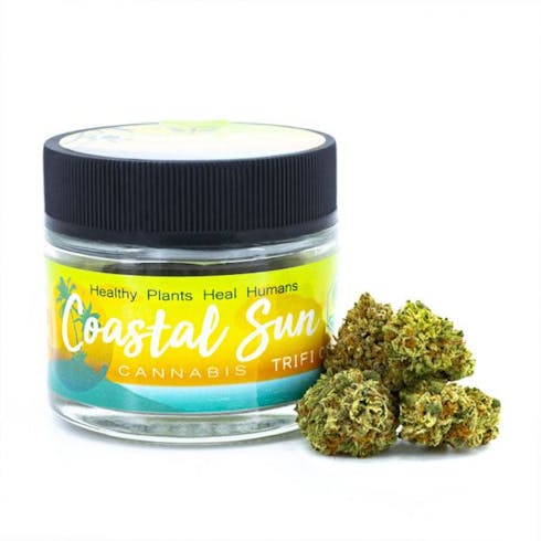 3.5g - Trifi OG (Indica-Hybrid) - Coastal Sun