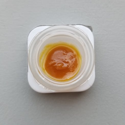 Special Ops Sugar