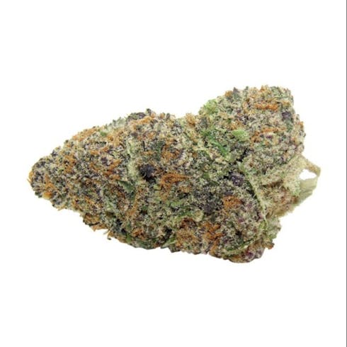 Ice Cream Cake | Phantom Farms