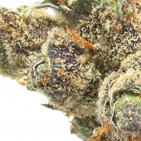 Super Sour Haze by NuHi