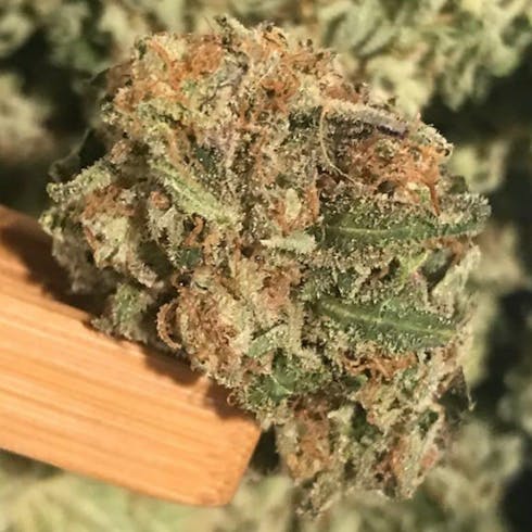 Bruce Banner