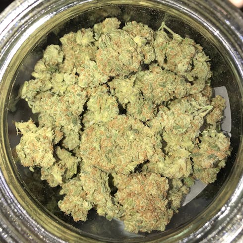 Cherry Pie - Indica Dominant Hybrid