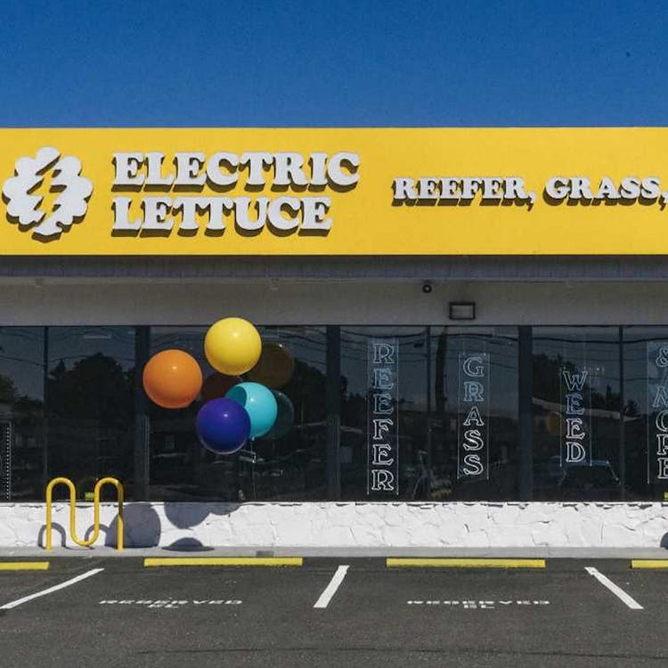 Electric Lettuce - Hillsboro