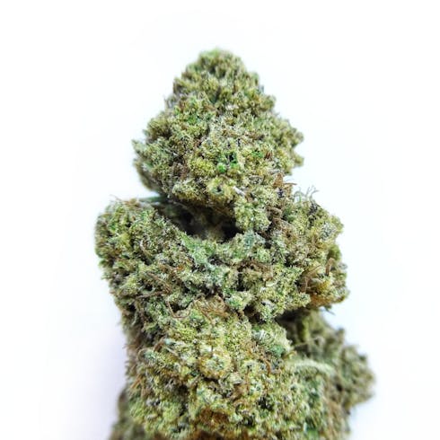 ACDC Cookies by East Fork Cultivars