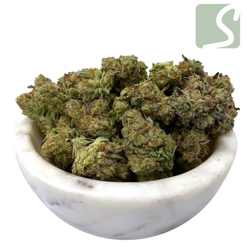 Animal Cookies