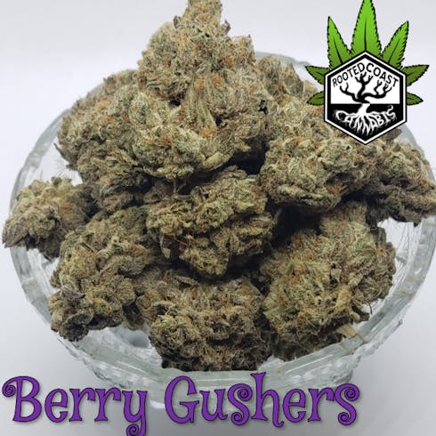 Berry Gusher