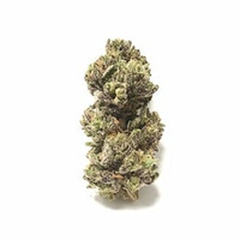 Classic Purps