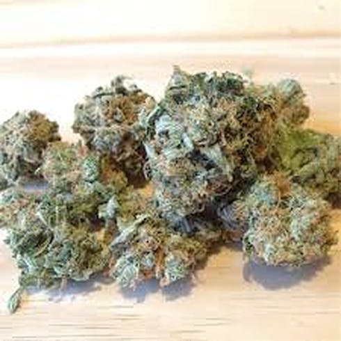 Acapulco Gold