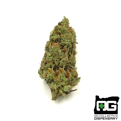 SPACE DAWG from OG GARDENS