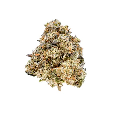 Premier Flower - Animal Mints