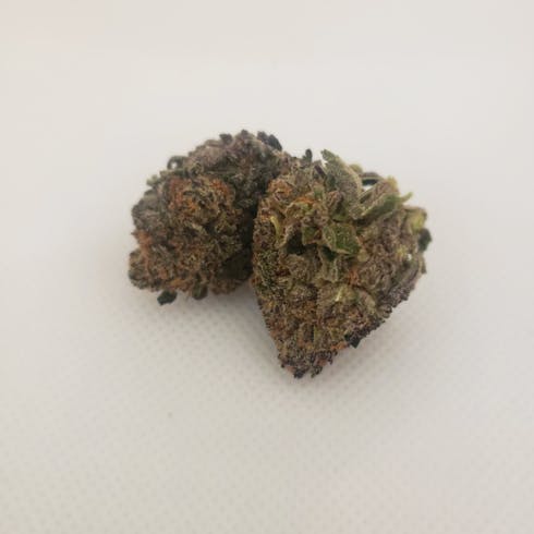Purple Eiddilon